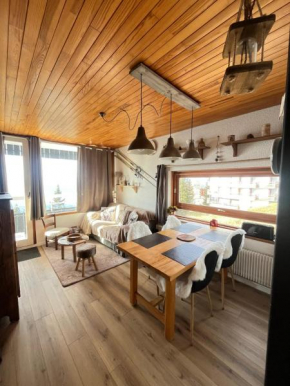 Appartement charmant - Chamrousse - 36 m² - Vue montagne